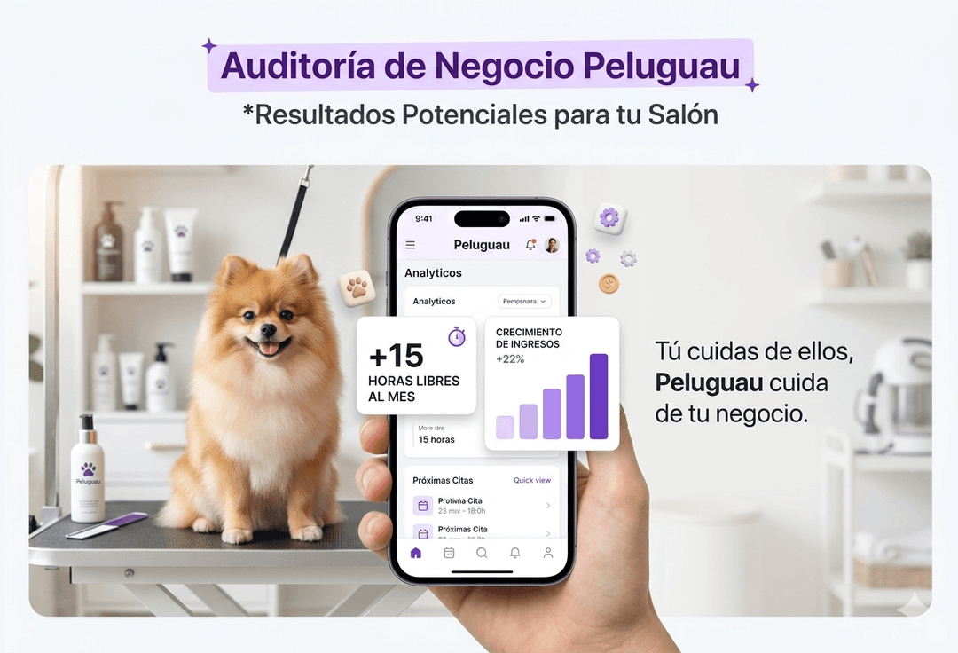 Auditoría de negocio Peluguau — Resultados potenciales para tu salón